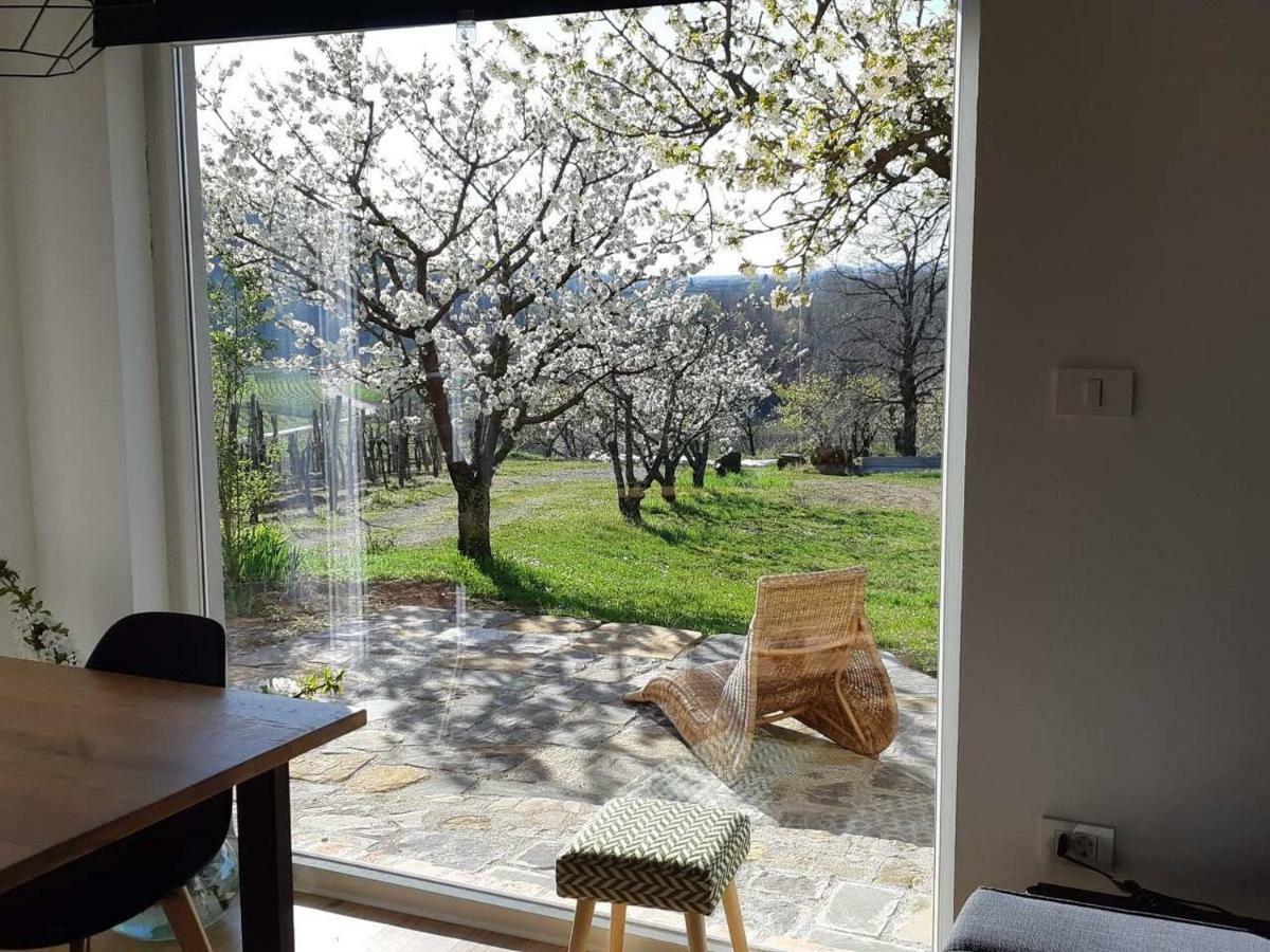 Apartma Vita Доброво Экстерьер фото